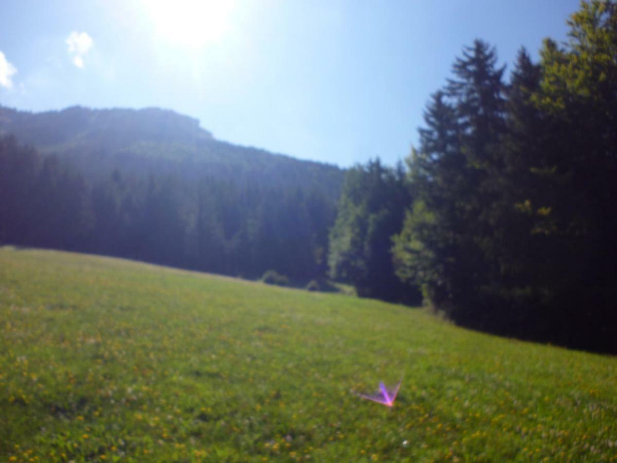 Le Chalet De La Conversaria Panzió Villard-de-Lans Kültér fotó